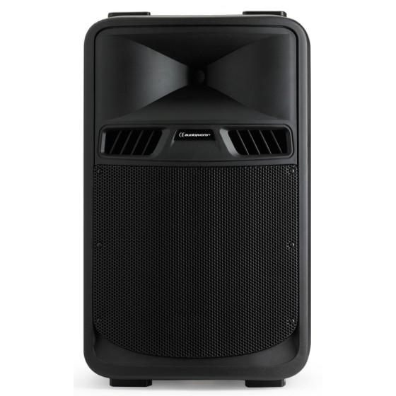 Enceinte Amplifiée Audiophony GOA